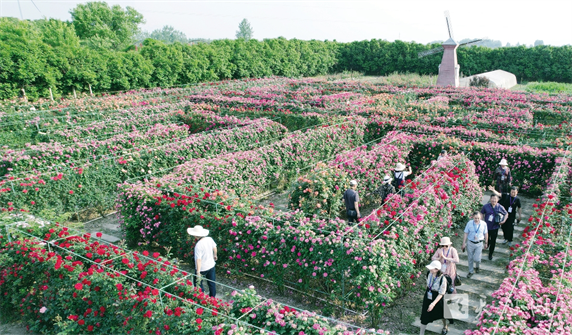 美丽乡村 入画来